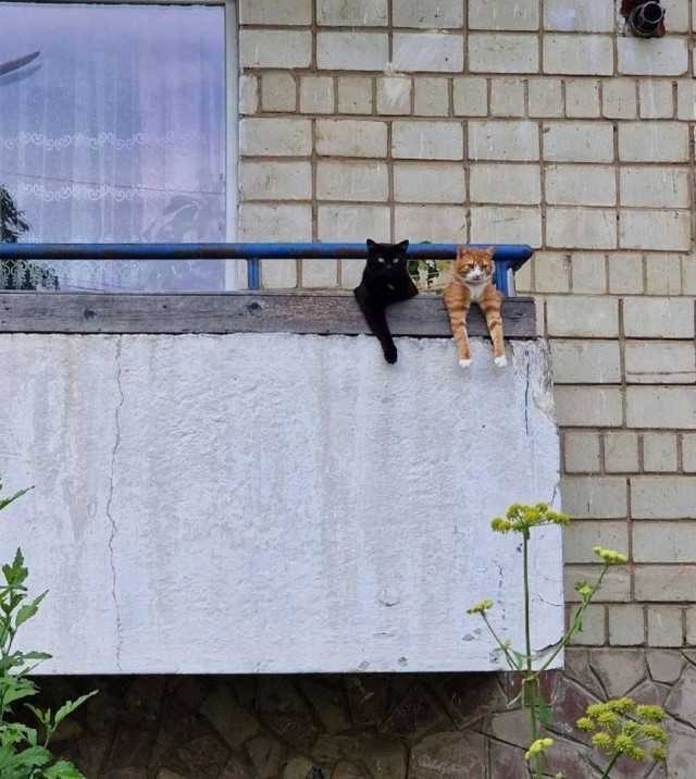 *зачёркнуто*