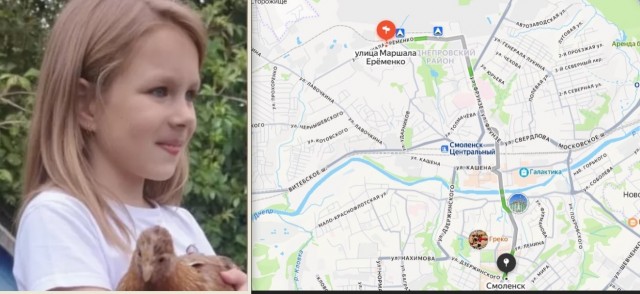 Девятилетняя девочка загадочно пропала в Смоленске во время прогулки с собакой