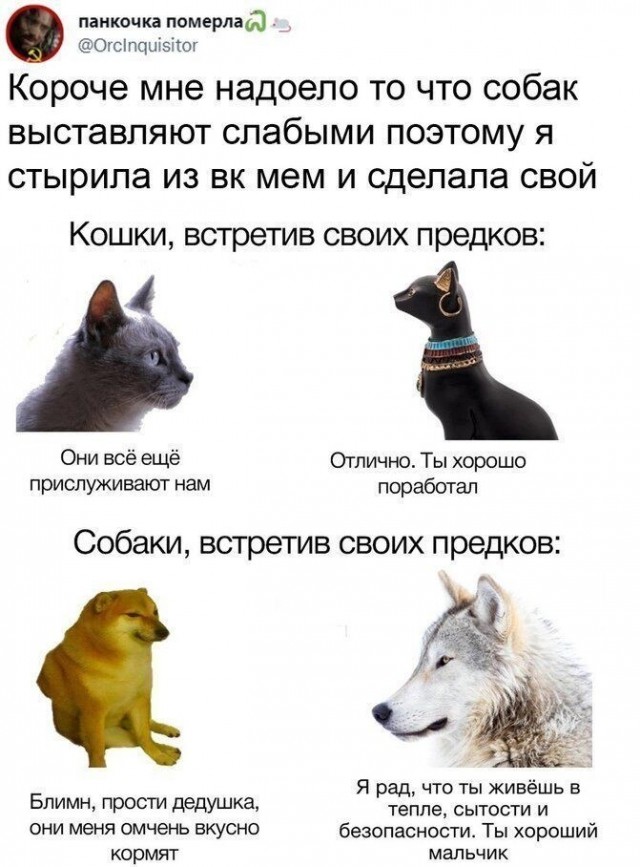 Пока не подружились