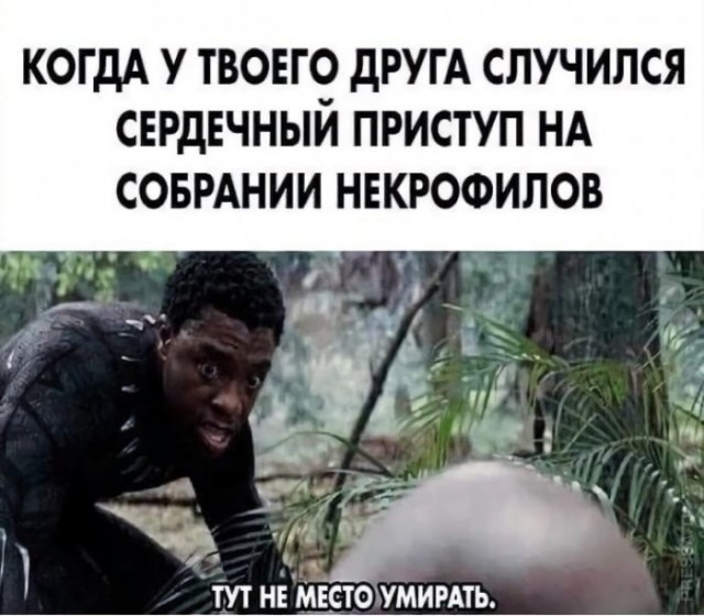 Веселые картинки в понедельник (27.04)