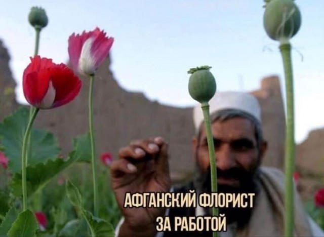 Картинки для деградации 247 (разной степени свежести)