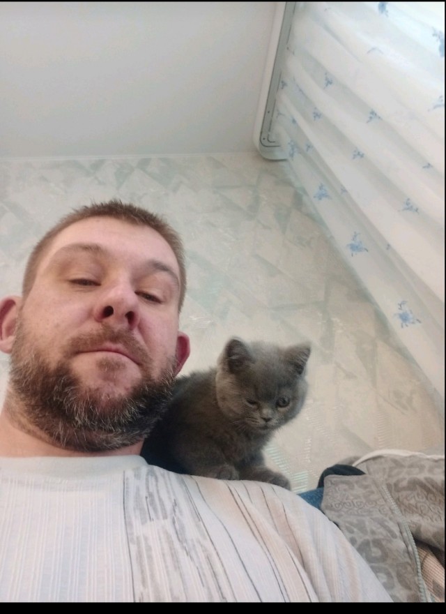 Помогите выбрать (котовторник)
