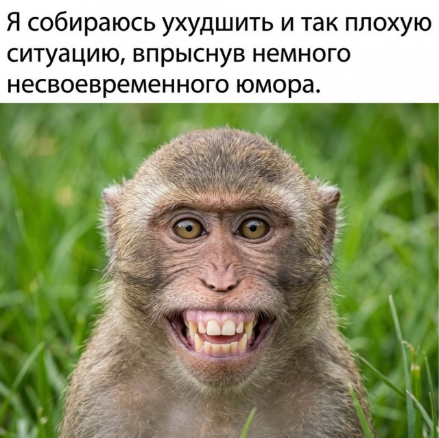 Веселое настроение в картинках 16.08.26