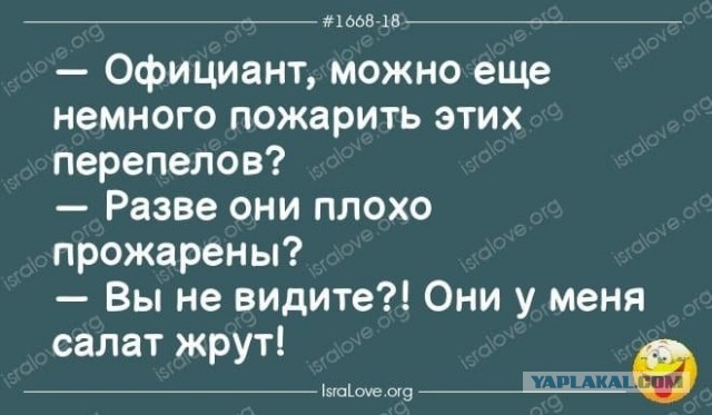 Пятничные бояны