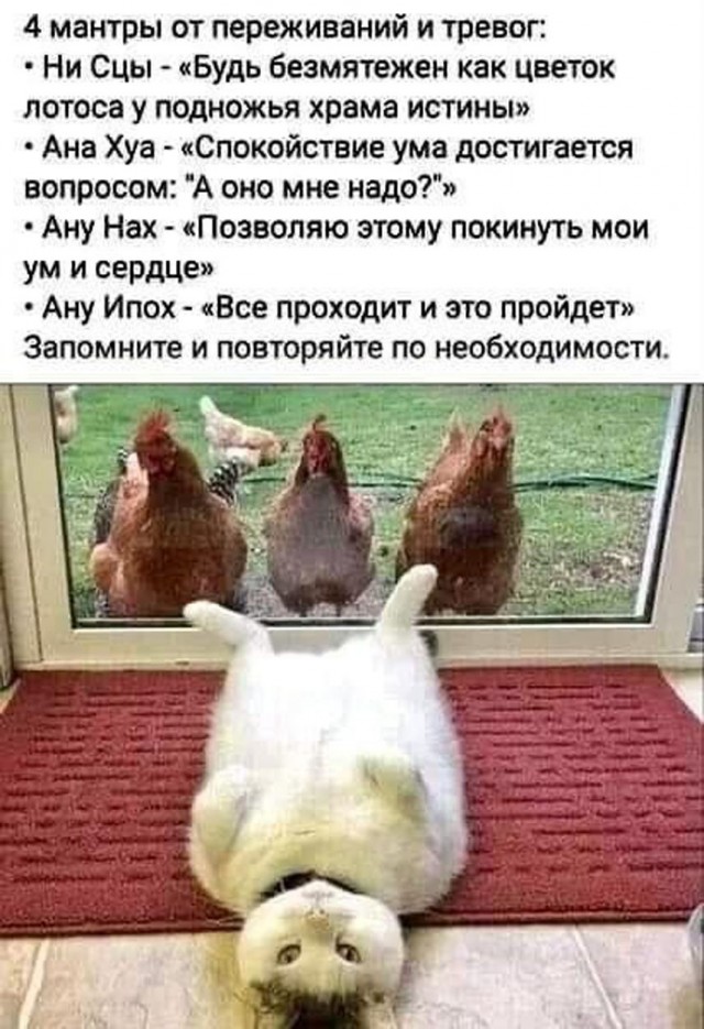 Прикольные и просто красивые картинки 04.09.2026
