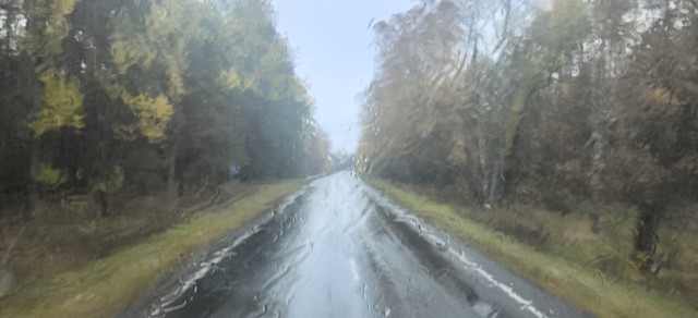 Осеннее