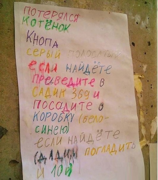 Потерялся котенок