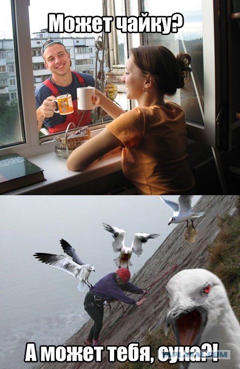 Чайку?