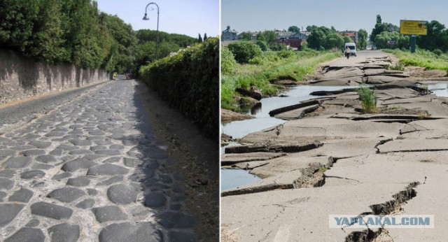 Олимпиада через задницу