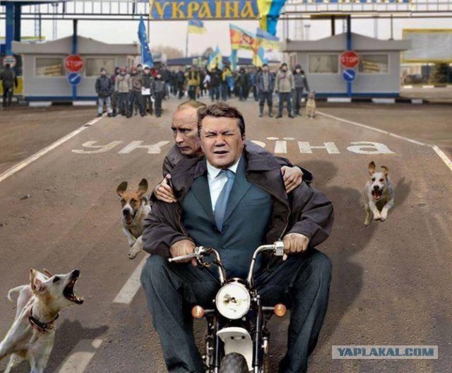 Десяток карикатур