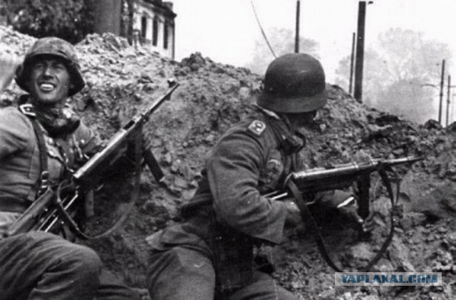 Террористы сдаются украинским войскам