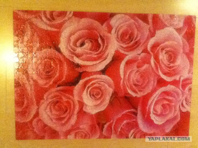 Хобби не для слабонервных