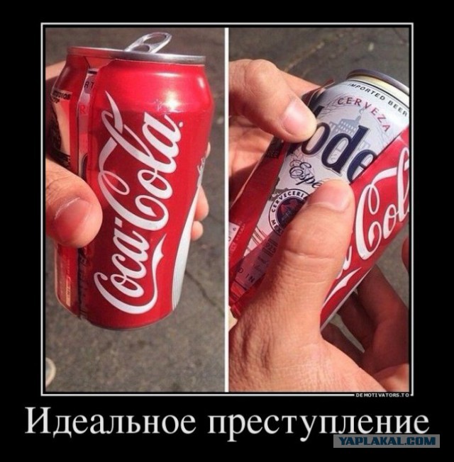 Забавные картинки из Сети