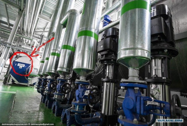 HEINEKEN Russia