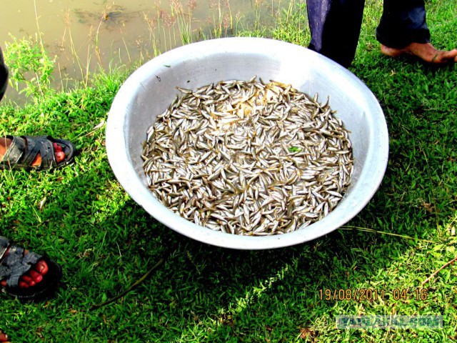 Что такое Бангладеш?