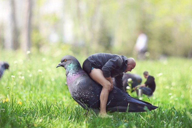 Ужасы и приколы из соцсетей 18+