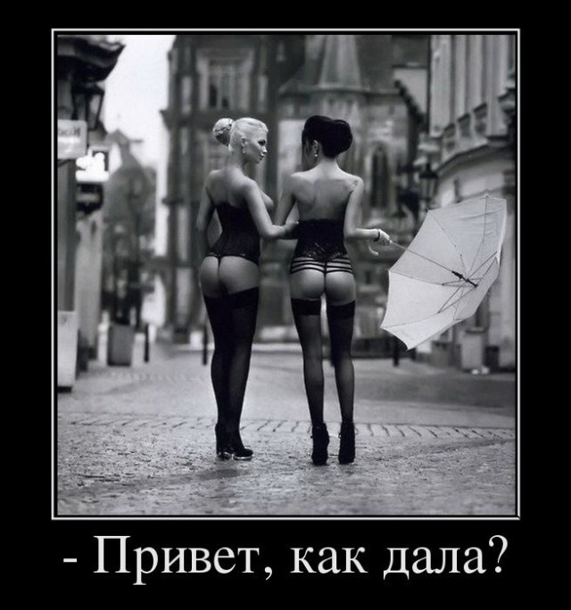 Весёлые картинки в чёрной рамке