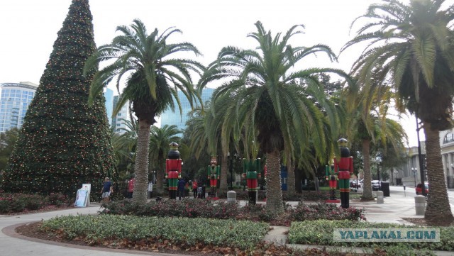 Флорида.Орландо.