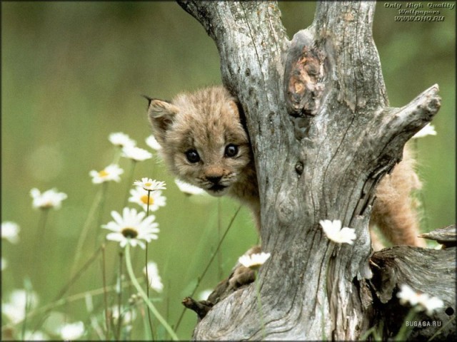 Подборка прикольных фото