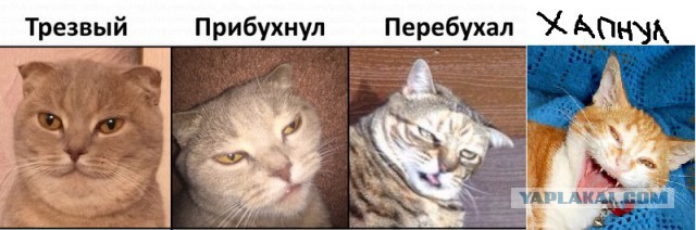 Соцсети - и смех и грех
