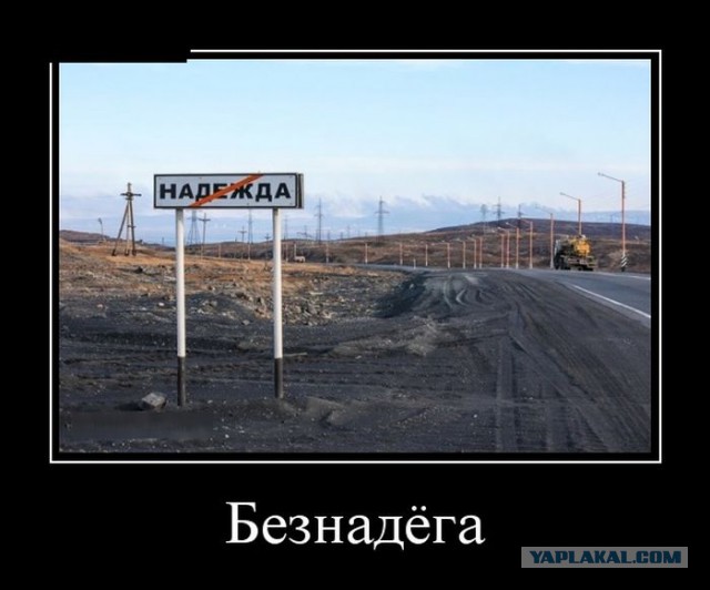 Баяны в чёрных рамках