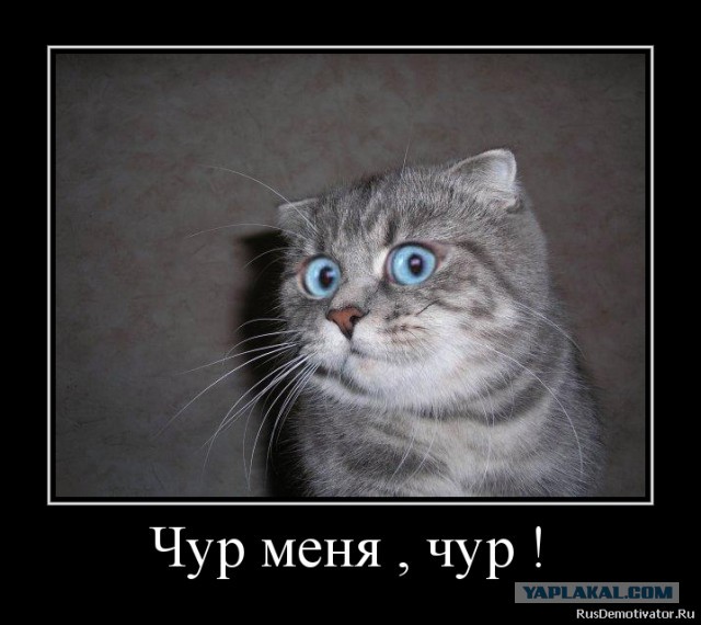 Страшно, жутко... ну просто ужасно "красивые"