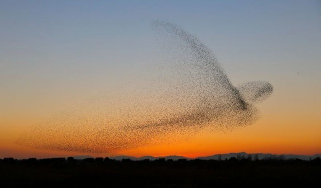 Фотограф не сразу понял, что сделал совершенно уникальный снимок