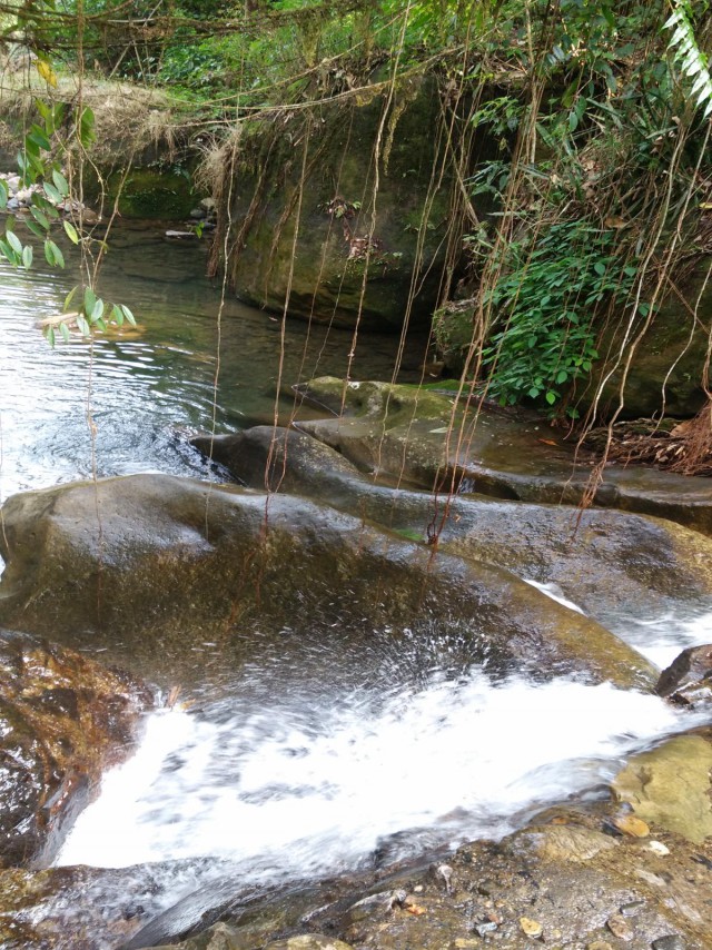 К живым мостам и обратно. Заметки из Индии