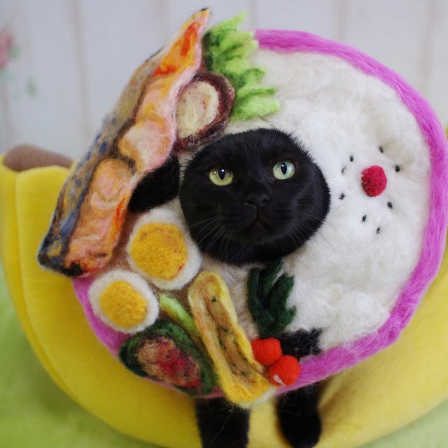 Прикольных котов пост