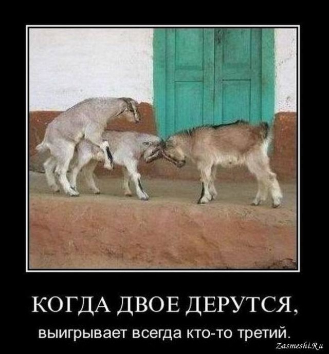 Выше радуги
