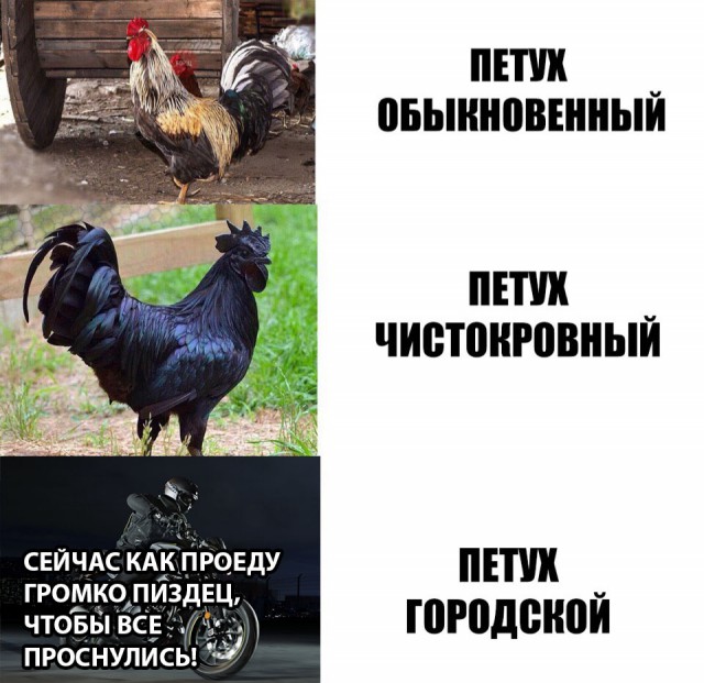 Нестандартный юмор