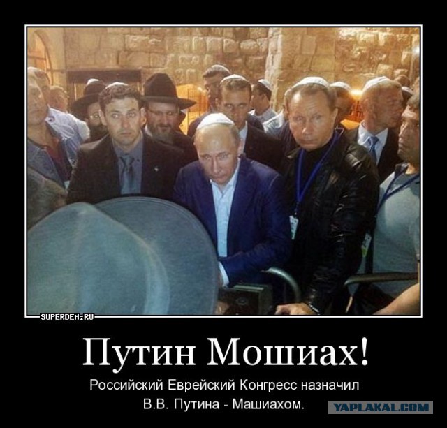 Появился третий вестник Апокалипсиса: змея на Стене Плача