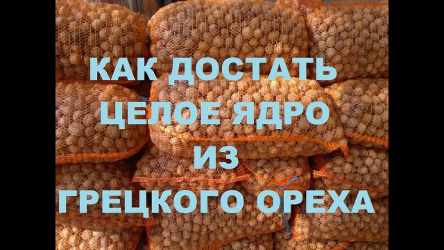Здравствуйте, можно войти?