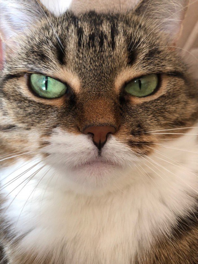 Немного милоты