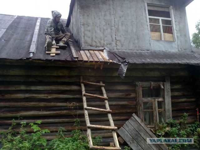 Вепсская тайга летом или Старый Бор