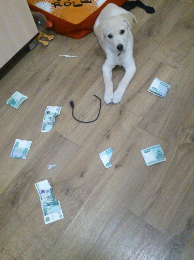 WTF: что тут происходит?