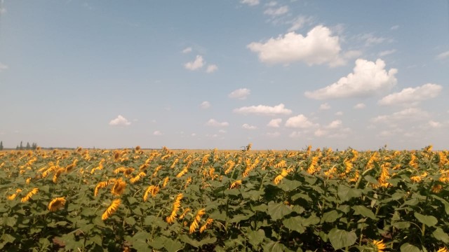 Мыть сапоги в индийском океане, или как мы в Морской Чулек гоняли