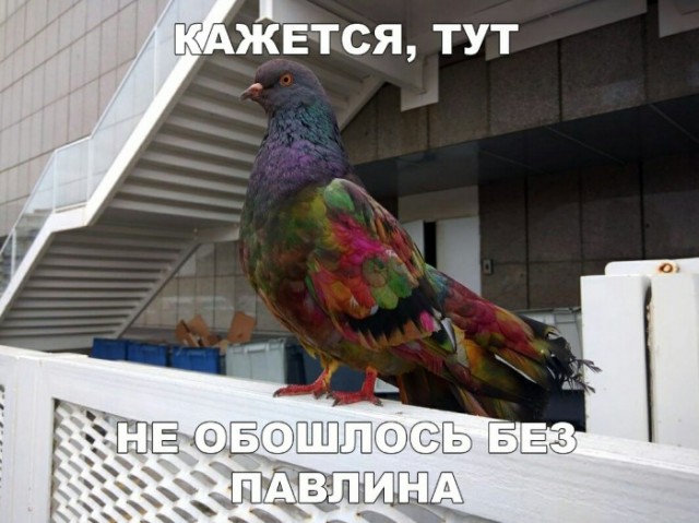 Предаешь ли ты семью, если у тебя есть любовница?