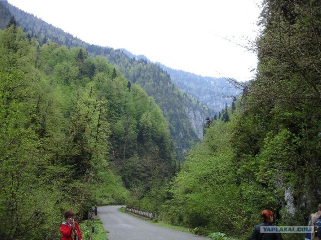 Абхазия (49 фото)