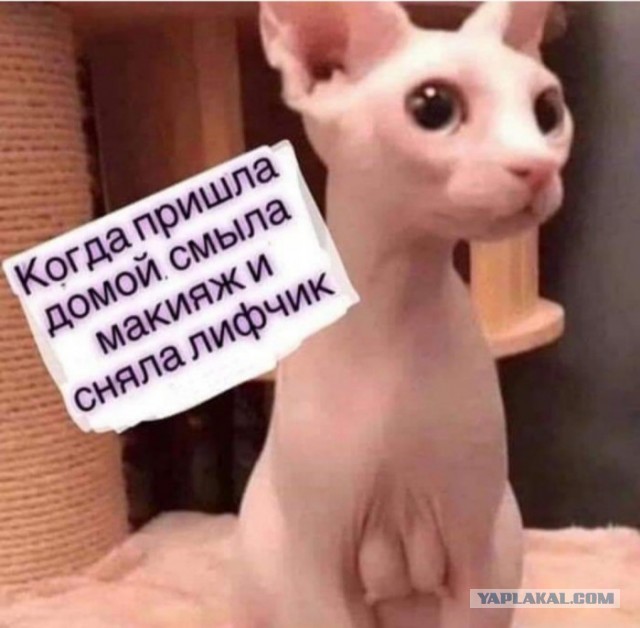 Как я знакомилась на сайте знакомств