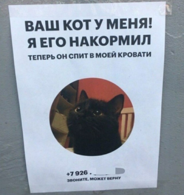 Бредзона 27.01.2020