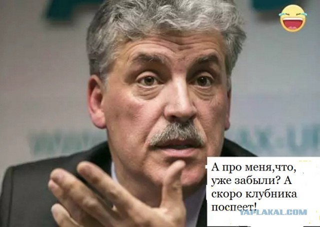 Платошкин Николай Николаевич арестован!