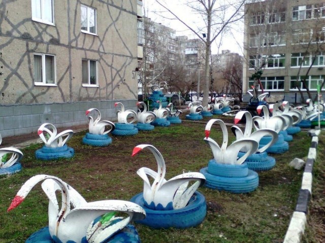 Лебединое безумие