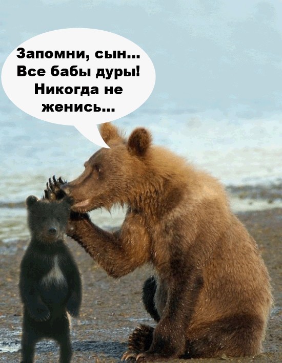 Маша-а-а!Аууууу!