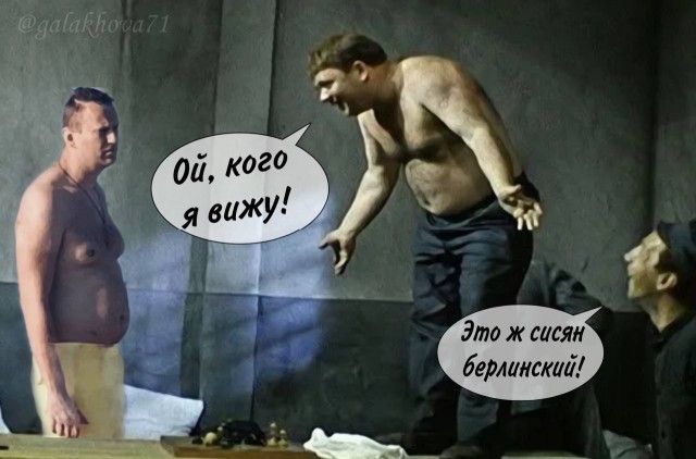 Стрим возвращения Навального из Берлина во Внуково