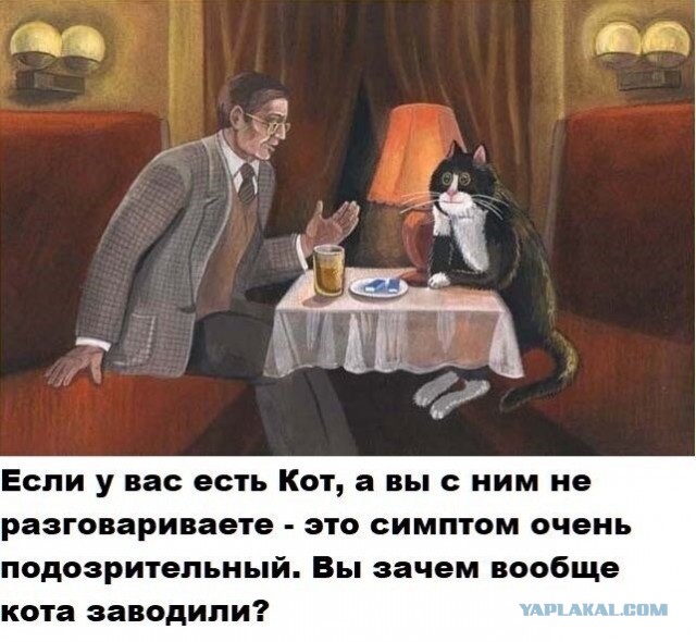 Бредзона 20.01.2021