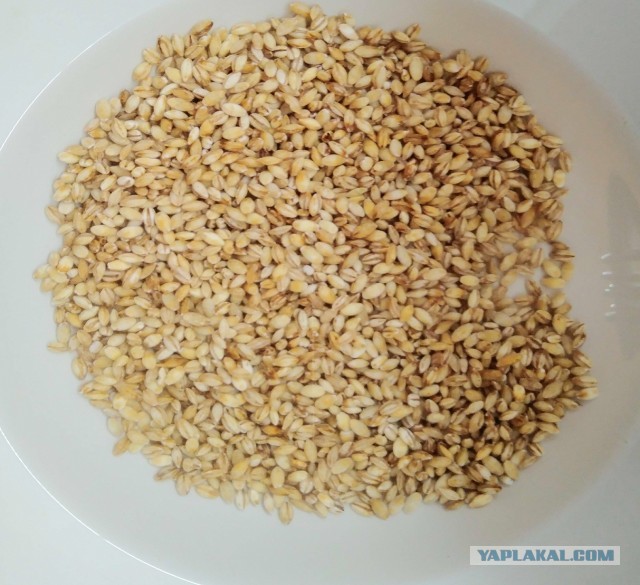 Репник. Щи из крошева с квашеной репой.