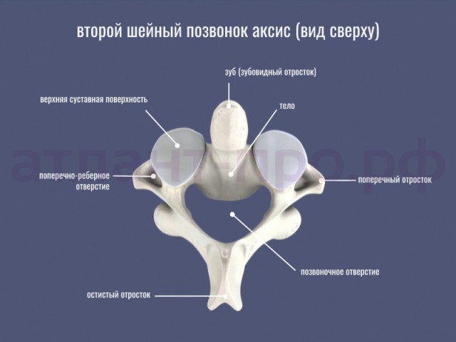 Мортал Комбат