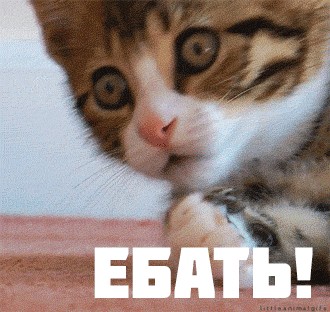 Товарищ майор, проснитесь!