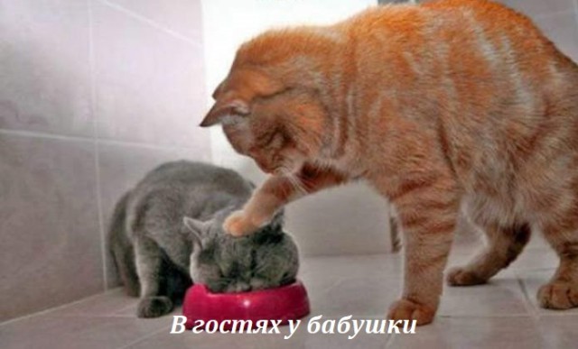 35 картинок разных 19.05.2021